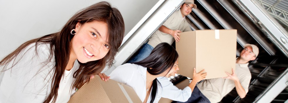 Professional Removalists Duckenfield